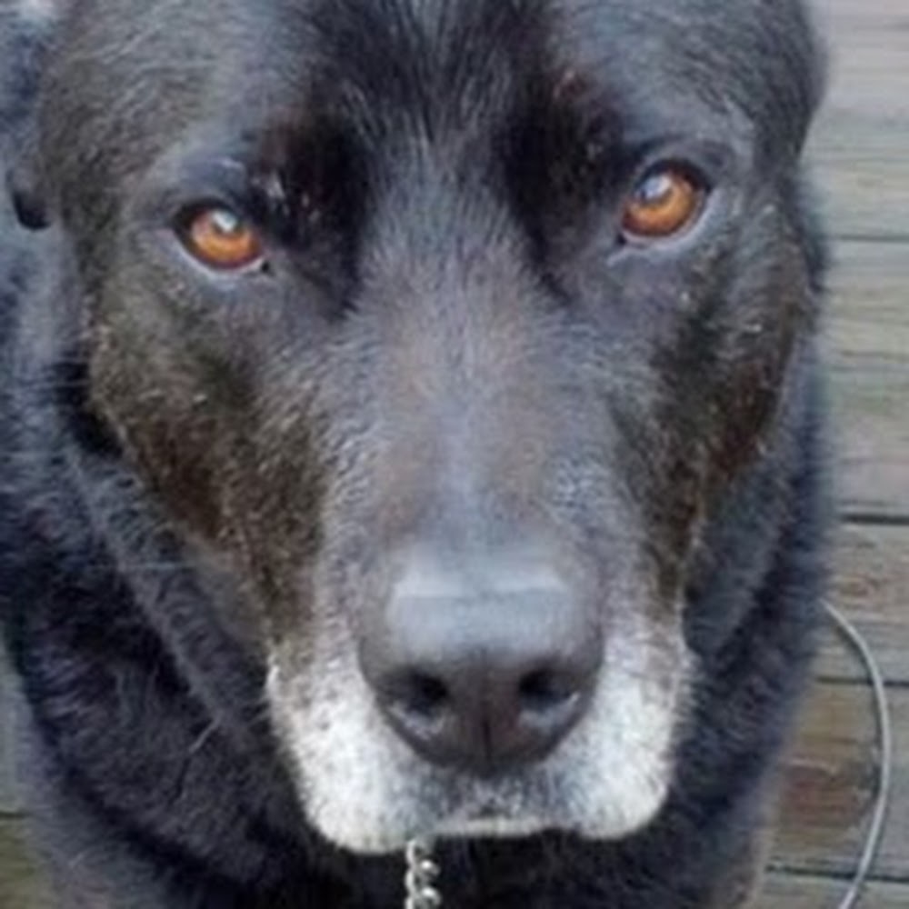 Meet your Posher, Bre